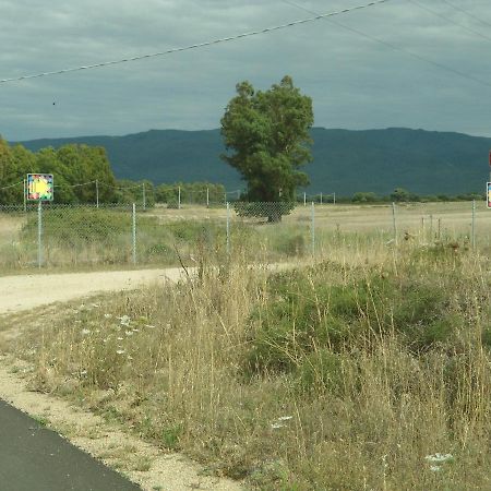 Tra Mare E Monti Daire Santa Giusta Dış mekan fotoğraf