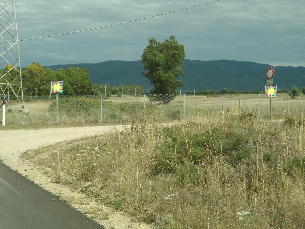Tra Mare E Monti Daire Santa Giusta Dış mekan fotoğraf