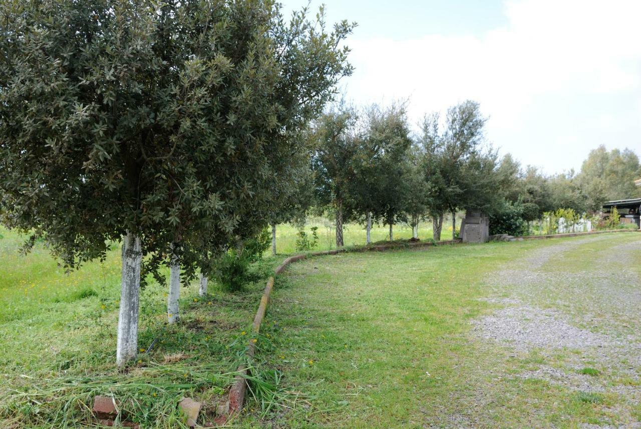 Tra Mare E Monti Daire Santa Giusta Dış mekan fotoğraf