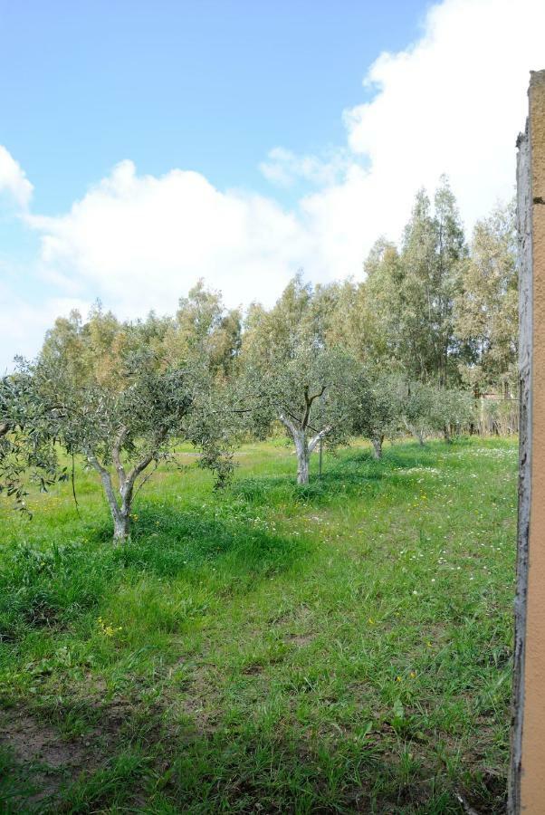 Tra Mare E Monti Daire Santa Giusta Dış mekan fotoğraf