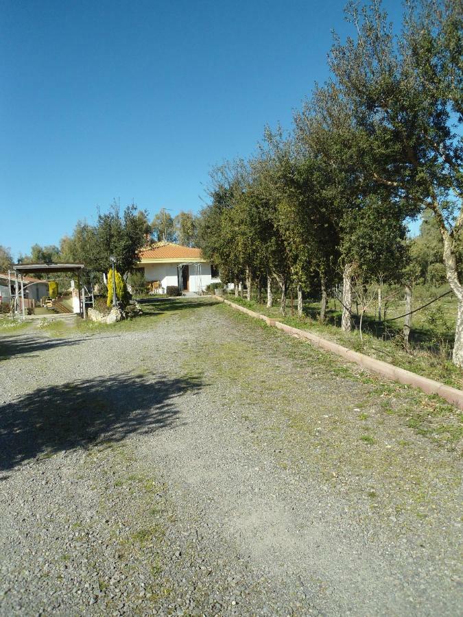 Tra Mare E Monti Daire Santa Giusta Dış mekan fotoğraf